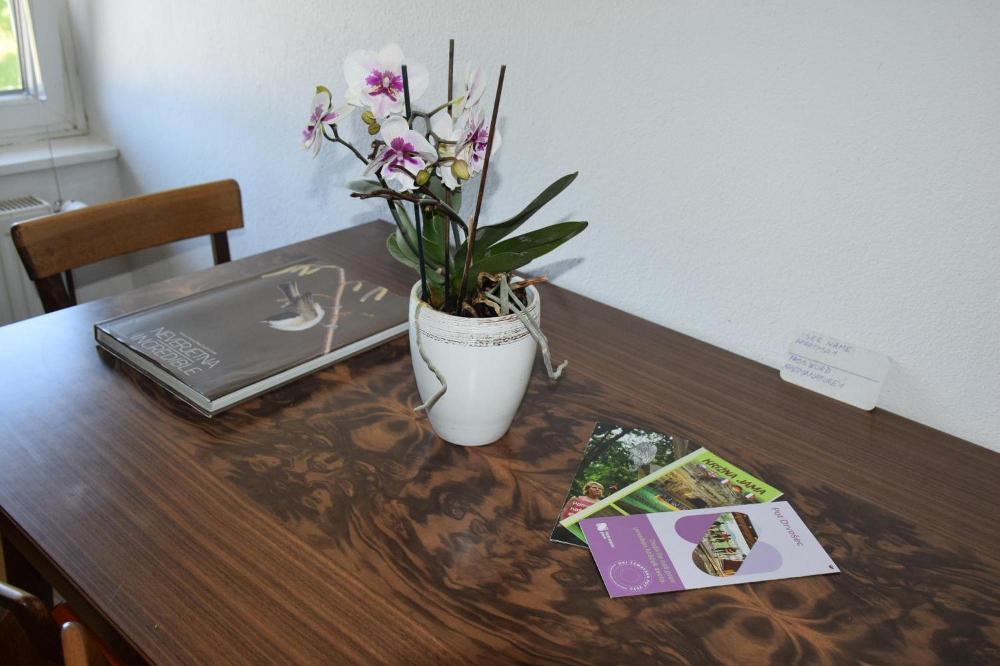 Apartma Narava Begunje pri Cerknici Room photo